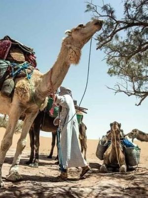 WhatsApp Image 2026-03-03 at 17.00.33